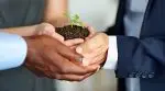 How to Use Specialized Partnerships to Grow Your Wealth Faster by Dave Corsi