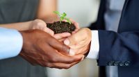 How to Use Specialized Partnerships to Grow Your Wealth Faster by Dave Corsi