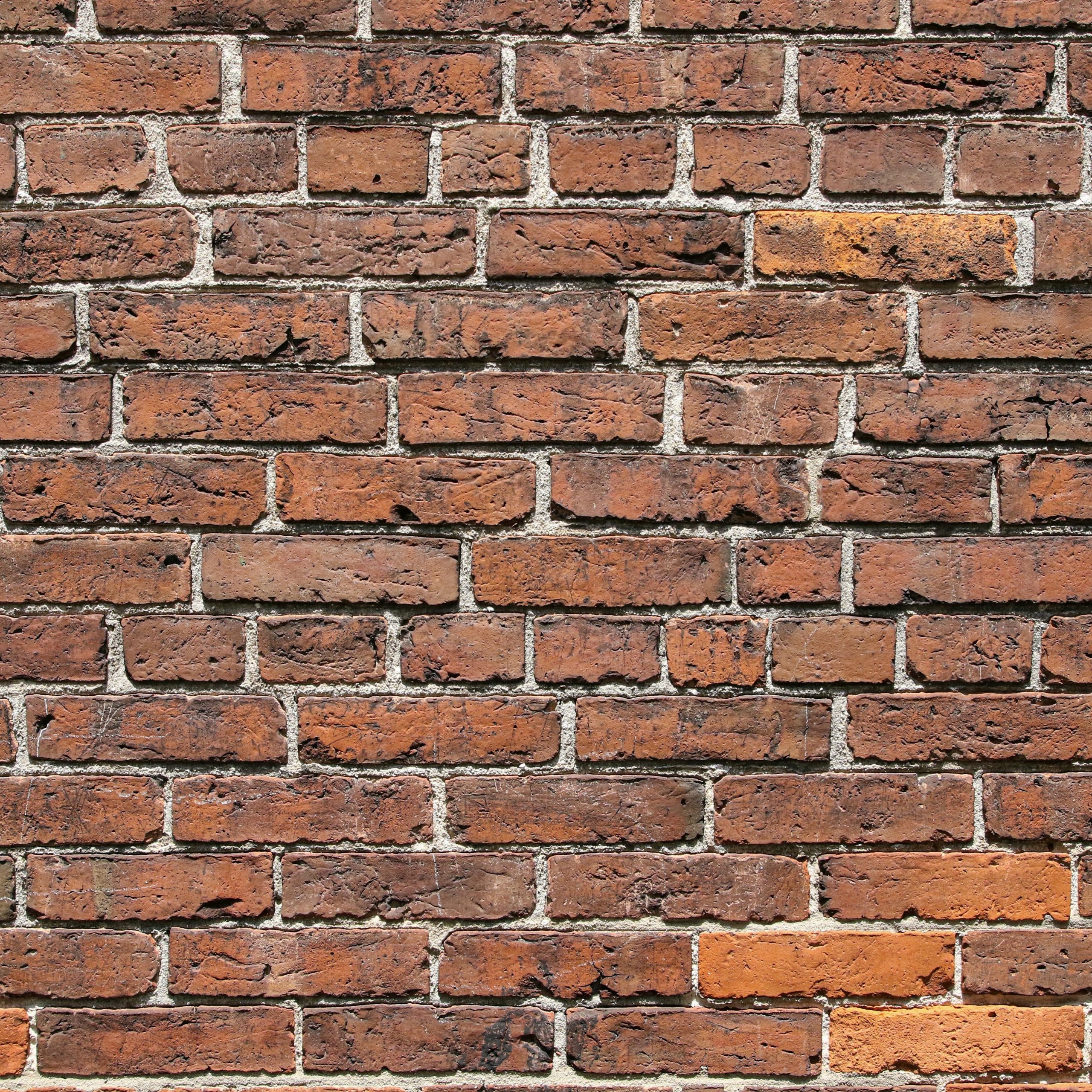 Are You Going to Learn About the House, or Just Keep Staring at that Brick?
