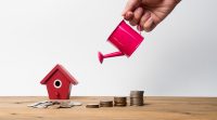 Repair for Equity